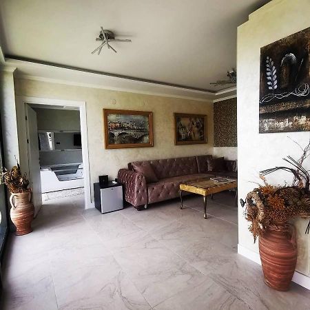 Lux Vila Aleksandar Sremska Kamenica 외부 사진